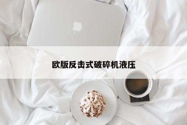 欧版反击式破碎机液压