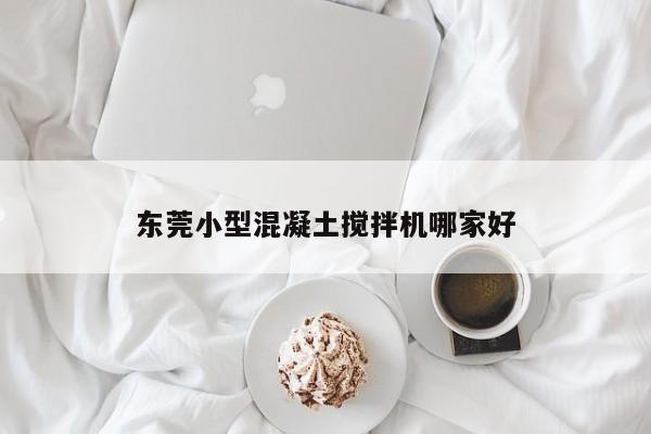 东莞小型混凝土搅拌机哪家好